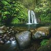 Cascade dans la jungle verte de la Guadeloupe sur Jean Claude Castor