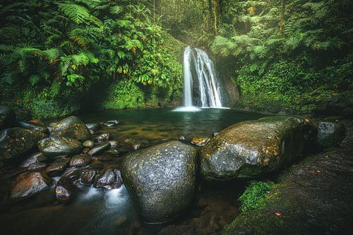 Waterfall in the green jungle of Guadeloupe