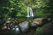 Wasserfall im grünen Dschungel von Guadeloupe von Jean Claude Castor