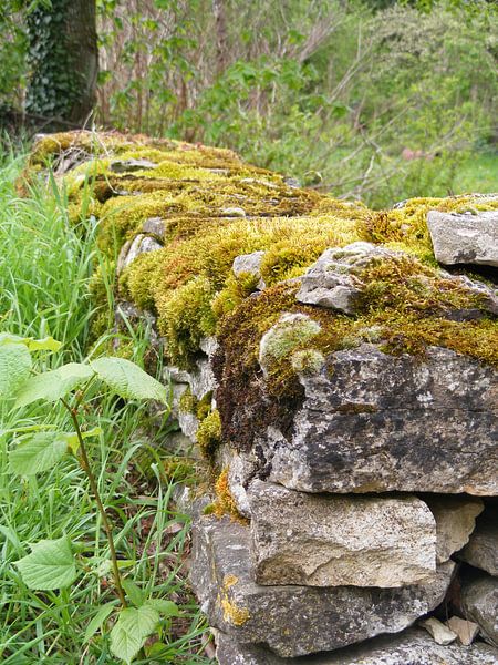 oude muur von Mirjam van Ginkel