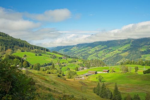 Paysage près d'Embach dans la région de Salzbourg