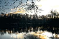 Lac à l'aube