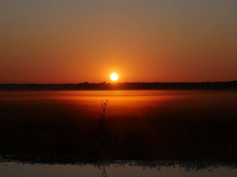 Sonnenuntergang, Feuchtgebiete, Australien von Liefde voor Reizen