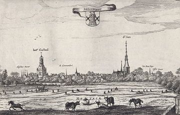 Steven van Lamsweerde, Gezicht op Montfoort, 1630 - 1686 van Atelier Liesjes
