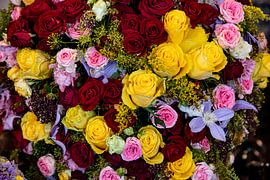 Still life of flowers by jacky weckx