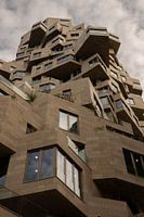 Ein Blick vom Boden aus | Amsterdam | Niederlande Reisefotografie