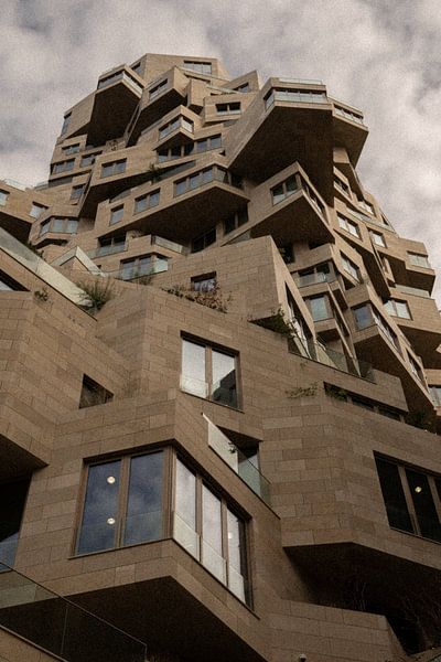 A view from the ground | Amsterdam | The Netherlands Travel Photography by Dohi Media