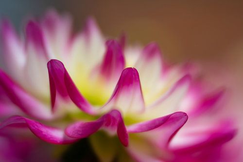 These colors make you happy, don't they?!