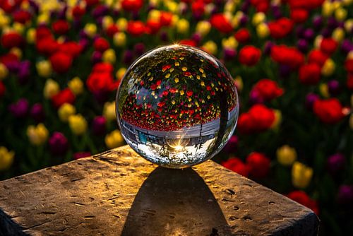 L'aube dans une boule de cristal