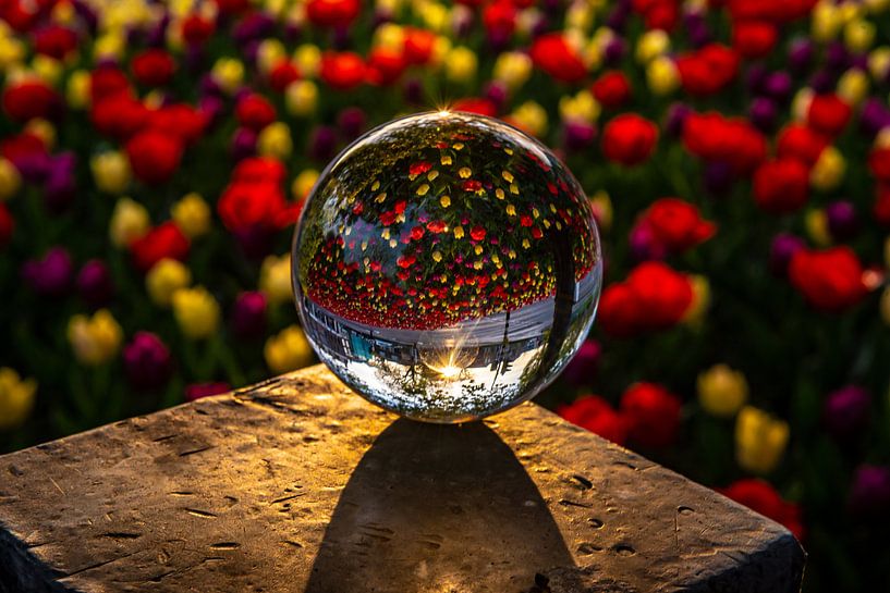 Ochtendgloren in een glazen bol van Ben Willemsen