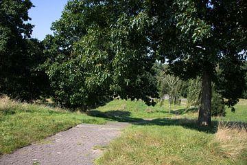 Découvrir la nature dans une zone forestière de l'Emsland, Basse-Saxe, Allemagne sur Bianca Meyering Fotos - BMF