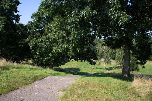 Ontdek de natuur in een bosrijk gebied in Emsland, Nedersaksen, Duitsland