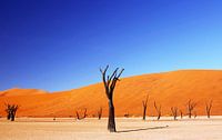 Dead Vlei Namibia von W. Woyke Miniaturansicht