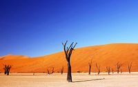 Dead Vlei Namibia