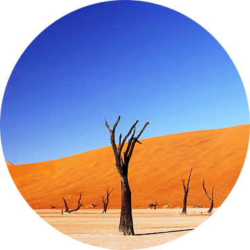 Deadvlei Namibia van W. Woyke