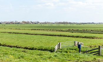Meadows in the Green Heart of Holland with ditches, fences, meadows, bushes, trees and farmhouses.