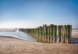 Strandlandschaft mit Stöcken im Sonnenlicht