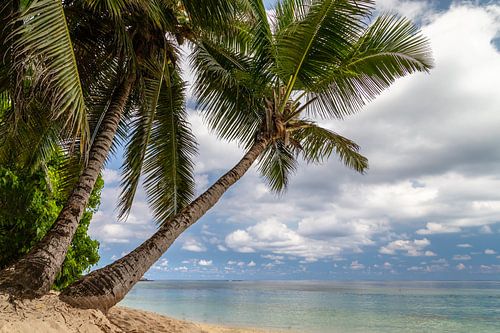 Beach anse royale on the Seychelles island Mahé
