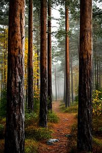 Magische Stille