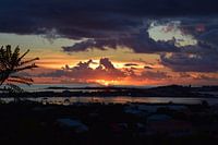 Zonsondergang over Sint Maarten, met dramatische wolken en een palmboom