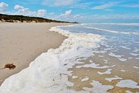 Flanders beach