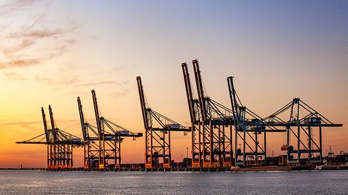 Kräne Hafen von Antwerpen