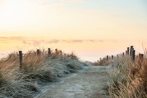 Zonsopkomst bij Dishoek in Zeeland