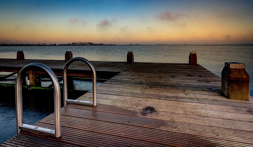 Swim? by peterheinspictures