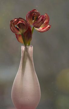 Vaas met uitgebloeide tulpen van Birgitte Bergman