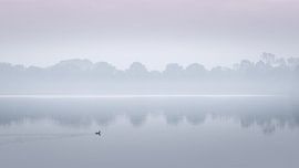 Landscapes 5 by Mariëlle de Valk