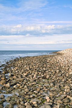 Steinestrand in Dänemark am Meer von Martin Köbsch