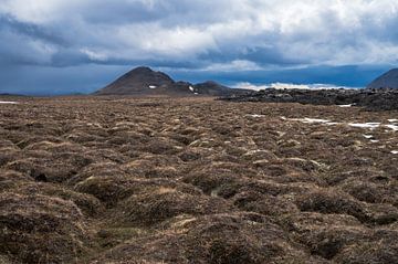 Lava landschap in noord IJsland van Tim Vlielander