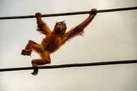 On my way to the top!