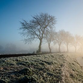 Wintermorgen von Henk Ravenhorst