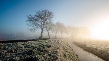 Winterochtend