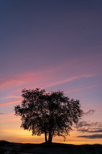 Zonsondergang op de Ermelosche heide II