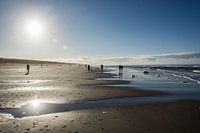 Egmond aan Zee Tegenlicht