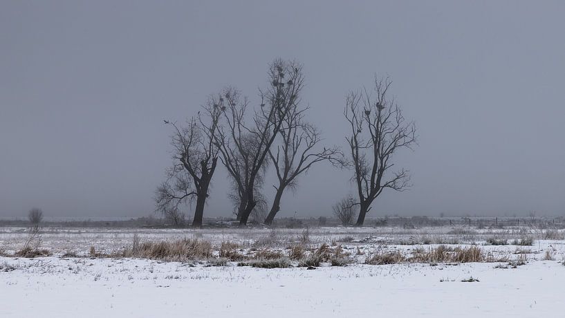 a winter landscape van Koen Ceusters