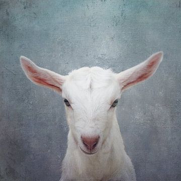 Portret van een geit van Western Exposure