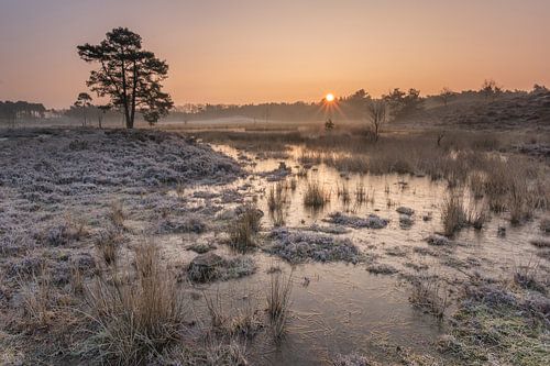 IJskoude morgen