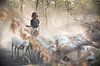 Meisje dat met haar geiten thuis komt | Ethiopië van Photolovers reisfotografie thumbnail