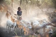 Mädchen kommt mit ihren Ziegen nach Hause | Äthiopien von Photolovers reisfotografie Miniaturansicht