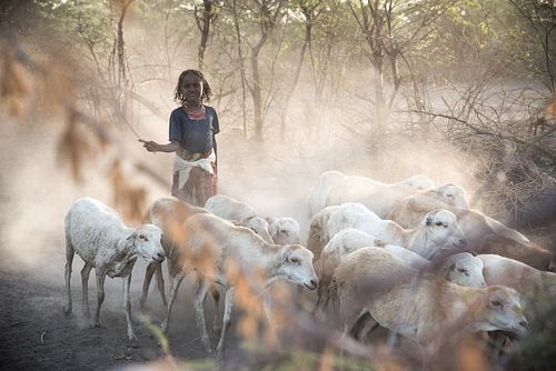 Fille rentrant à la maison avec ses chèvres en Éthiopie.