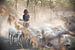 Meisje dat met haar geiten thuis komt | Ethiopië van Photolovers reisfotografie