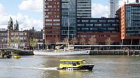 Skyline Rotterdam Kop van Zuid: blik op de Wilhelminapier (5) van Rick Van der Poorten thumbnail