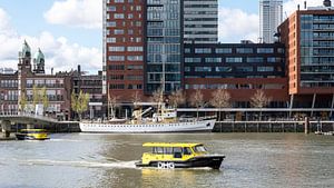 Rotterdam Kop van Zuid skyline: view of the Wilhelmina Pier (5) by Rick Van der Poorten