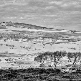 Paysage de dunes en noir et blanc sur Bert Bouwmeester