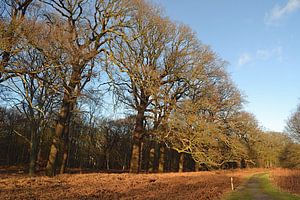 Landgut Leyduin