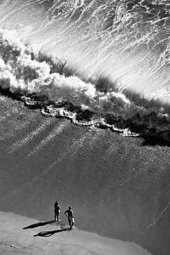 Van boven, Rui Ferreira van 1x