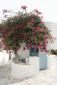 Blaue Tür mit Bougainvillea | Reisefotografie Druck | Kykladen, Griechenland